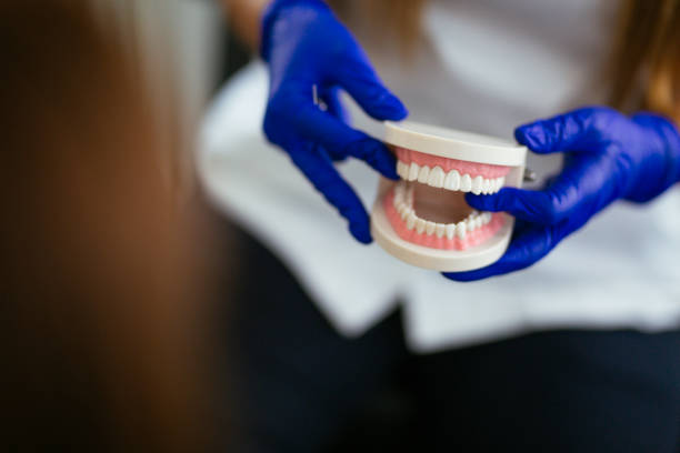 Best Veneers and Lumineers  in Michigan City, IN